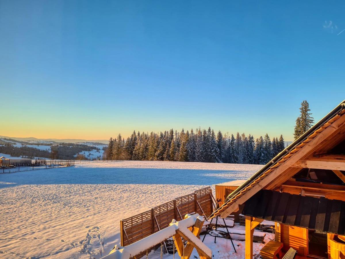 Domek W Zebie Z Jacuzii I Sauna W Cenie Зомб Экстерьер фото